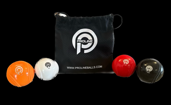 ProLine Plyo Weighted Training Balls